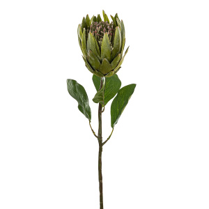 Цветок декоративный "Протея". Арт 211790-800