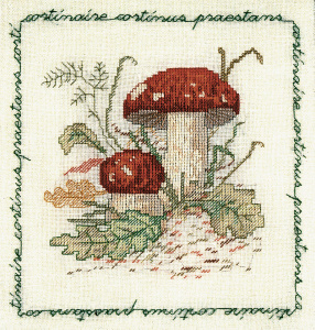 Набор для вышивания:"CORTINAIRE" (Гриб-паутинник). Арт 1683