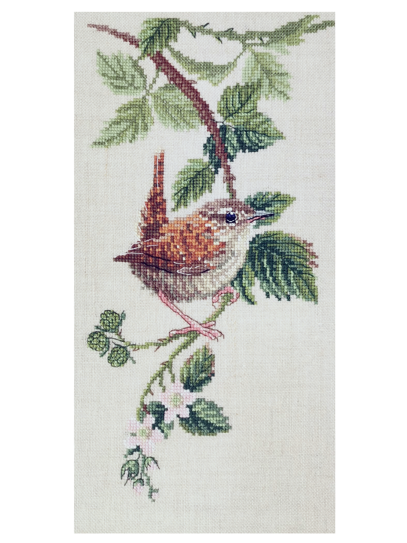 Набор для вышивания  "Ветка ежевики". Арт 03.011.16