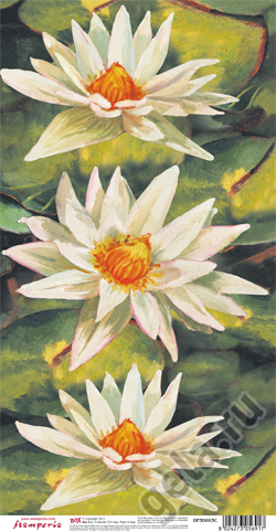 Бумага для 3D Декупажа. Арт DF3D003C                