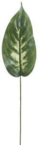 Лист декоративный "Диффенбахи". Арт 106135-800