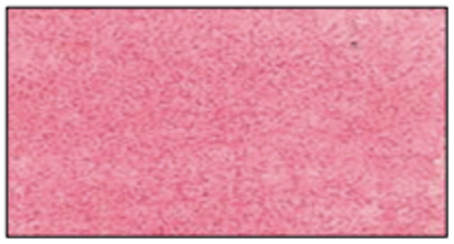 Краска - спрей "Aquacolor Spray "для техники "Mix Media", 60 мл. Арт KAQ008