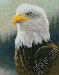 Набор для вышивания "Белоголовый орлан". Арт 98177                   