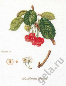 Набор для вышивания "Флоренция. Вишни", канва лён 36 ct. Арт 2058                    