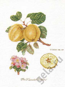 Набор для вышивания "Ветка яблони", канва лён 36 ct. Арт 2057                    