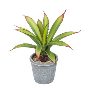Цветок декоративный в кашпо "Алоэ". Арт 109969-050