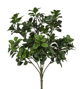 Ветка декоративная "Японский самшит", 35 см, цвет зеленый. Арт 108537-800