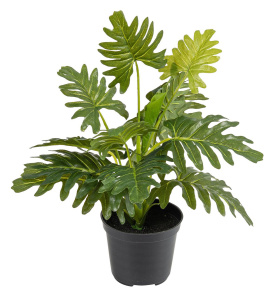 Цветок декоративный в кашпо "Филодендрон". Арт 119901-800