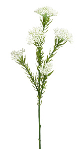 Ветка декоративная "Рисовый цветок", 72 см, 5 веточек, цвет белый. Арт 206160-100