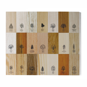 Коллекция образцов дерева NAEF CLASSIC "Holzkollektion" 6+, натуральное дерево, 21 шт в органайзере. Арт 9637