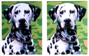Канва жесткая "Далматины", 2 рисунка на листе. Арт 15.286                  