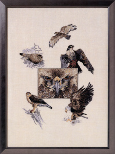 Набор для вышивания "Орлы". Арт 84844