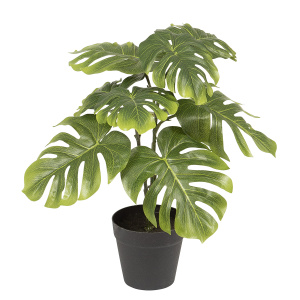 Цветок декоративный в кашпо "Филодендрон". Арт 107716-800