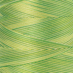 Нить для машинного квилтинга SILK-FINISH MULTI COTTON 50, 1372 м. Арт 9090-9830