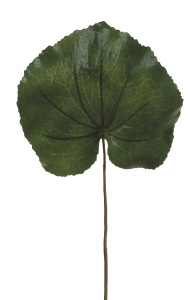 Лист декоративный "Галахбат". Арт 106051-800