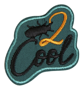 Термоаппликация "2 cool". Арт 38905
