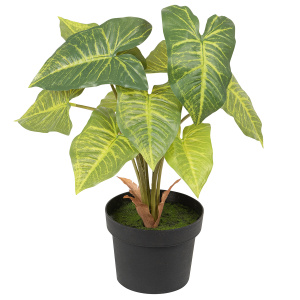 Цветок декоративный в кашпо "Алоказия". Арт 107733-808