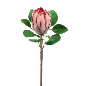 Цветок декоративный "Протея". Арт 217906-550