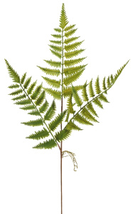 Ветка декоративная "Папоротник". Арт 109306-808
