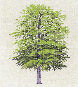 Набор для вышивания: "Бук". Арт 30-6028