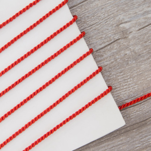 Шнур витой PEGA, красный, 2,8 мм. Арт 845213628A7501          