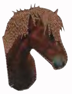 Термоаппликация HKM "Ponykopf Fuchs". Арт 33203/1SB