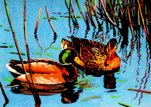 Канва жесткая с рисунком "Утки". Арт 14.854                  