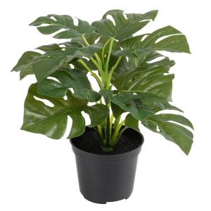 Цветок декоративный в кашпо "Филодендрон". Арт 119902-800