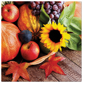 Салфетки трехслойные для декупажа, коллекция "Lunch"  PAW Decor Collection "Осенние сокровища". Арт SDL127200