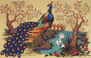 Канва жесткая с рисунком "Павлин на берегу". Арт C.908                   