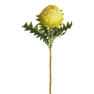 Цветок декоративный "Банксия". Арт 211740-200