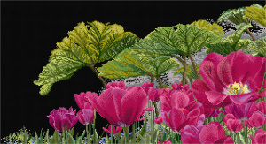 Набор для вышивания "Сад Кекенхоф ", канва аида (черная) 18 ct. Арт 432.05                  