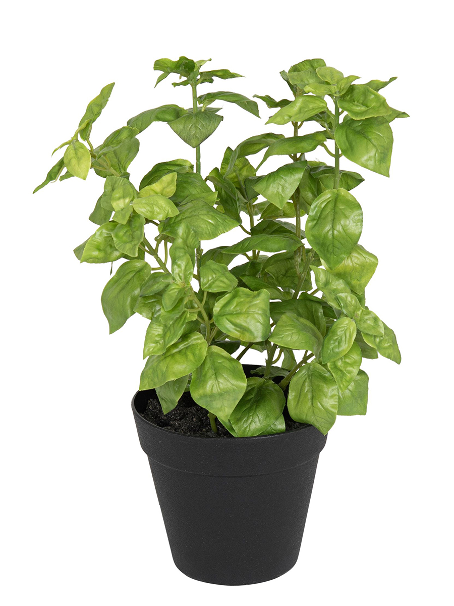 Цветок декоративный в кашпо "Базилик". Арт 106311-800