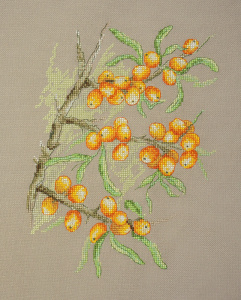 Набор для вышивания "Ягоды облепихи" . Арт 04.009.17
