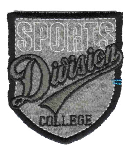 Термоаппликация "Division колледж". Арт 34286/1SB