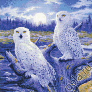 Набор для вышивания "Совы в лунном свете". Арт 99337                   