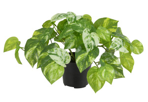 Цветок декоративный в кашпо "Плющ". Арт 119905-808