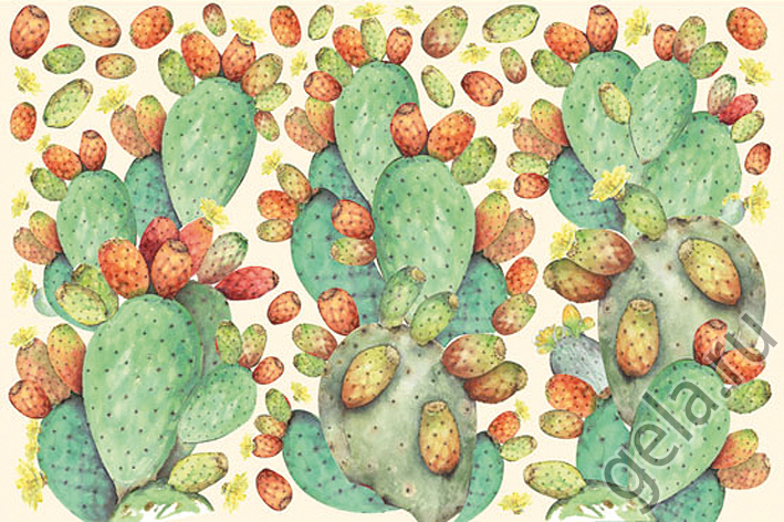 Карта для декупажа  "Velo"  . Арт DFV124                  