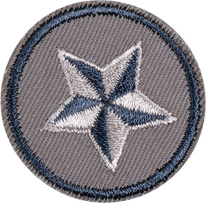 Термоаппликация "Звезда в коричнево-голубом круге". Арт 43114-1