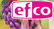 EFCO