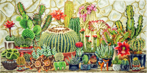 Набор для вышивания "Кактусы". Арт 11.002.11