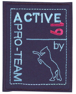 Термоаппликация "Эктив 19". Арт 36500/1SB