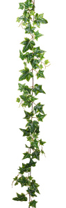 Ветка декоративная "Плющ". Арт 108883-801