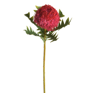 Цветок декоративный "Банксия". Арт 211740-560