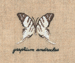 Набор для вышивания "PAPILLON: GRAPHIUM" (Бабочка GRAPHIUM) . Арт 3623