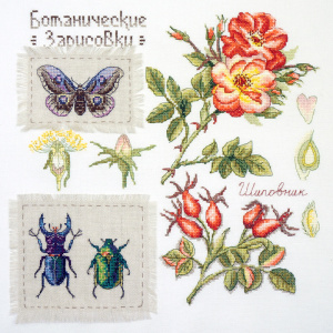 Набор для вышивания "Ботаника: Шиповник". Арт 03.015.12