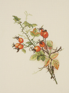 Набор для вышивания "Осенний шиповник". Арт 04.001.05