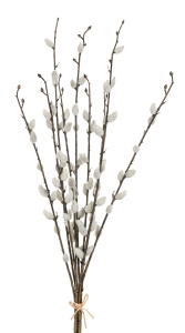Ветка декоративная "Верба", 55 см, 9 веточек, цвет белый. Арт 203231-030