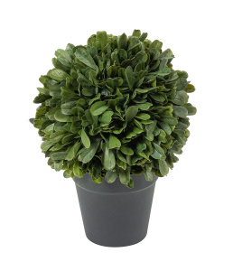 Цветок декоративный "Самшит". Арт 108643-800