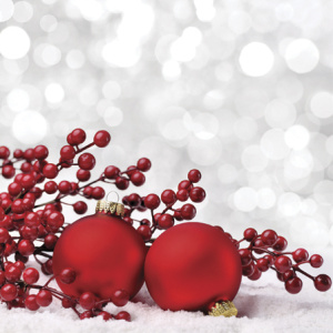 Салфетки трехслойные для декупажа, коллекция "Lunch"  PAW Decor Collection "Фенечки на снегу". Арт SDL081500